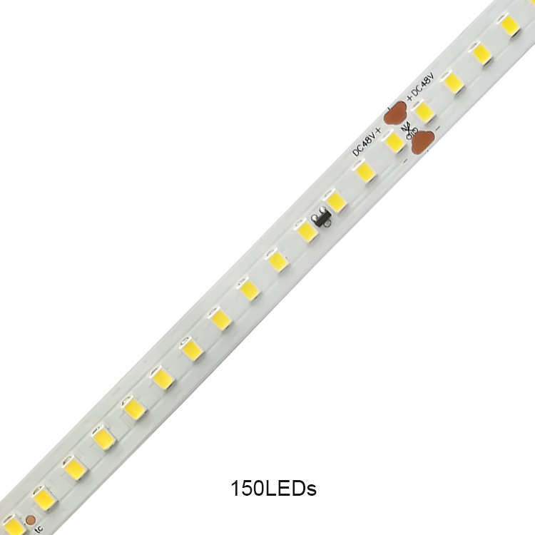 Luci a strisce a LED LED SMD 2835 48V 150leds/m 10mm